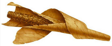 Anatomy of a Cigar