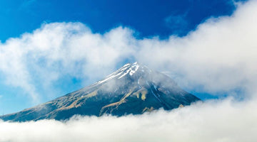A Tourists Guide to Cigars in New Zealand