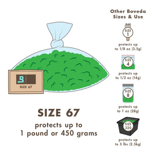 Boveda 62% (SIZE 67) 2-Way Humidity Control Pack (5-pack)