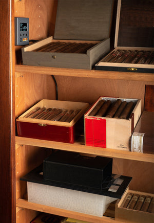 Cigar Oasis - Magna v3.0 | Large electronic humidification device (cigar cabinets)